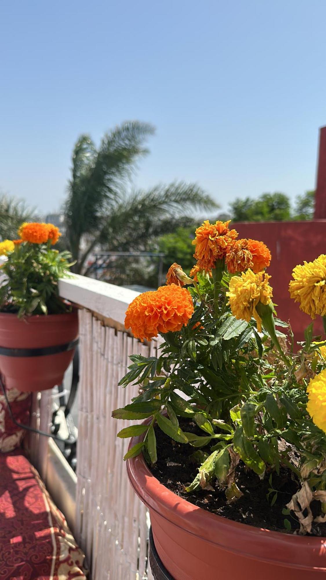 Villa House With Sea View In Kasbah à Tanger Extérieur photo